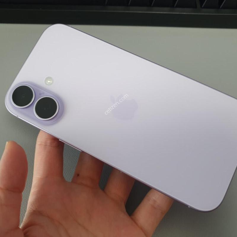 ������17 / 256GB / �󺥴� / ���͸����� 100%