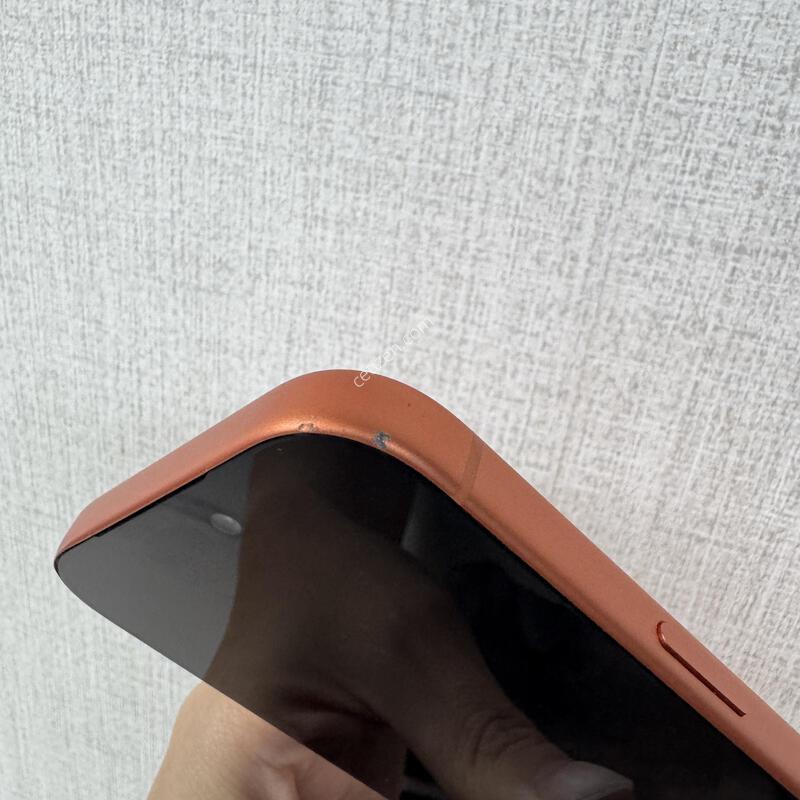 [�Ǽ���]������17����/256/�ڽ��Ϳ�����/85984