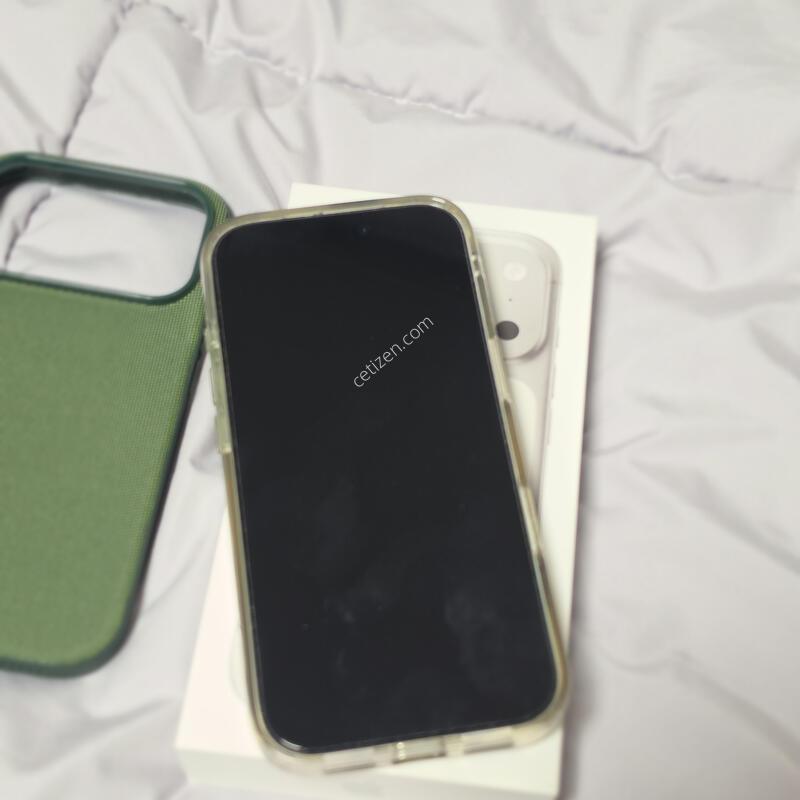 (�ֻ��)������ 17���� 256GB �ǹ�