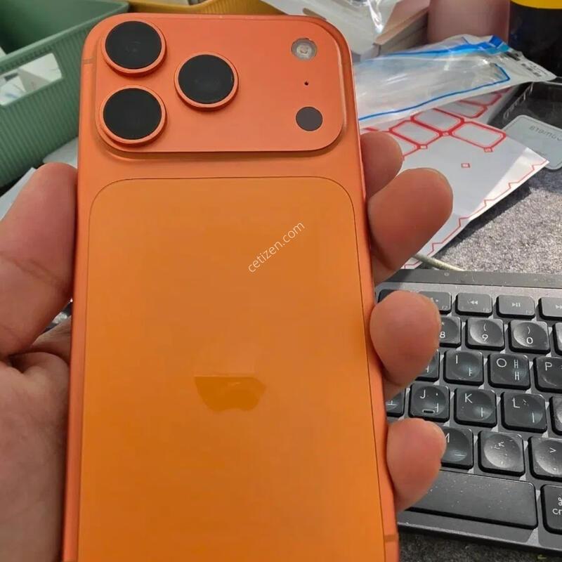 (1133)������17���� 256 �Ǹ�