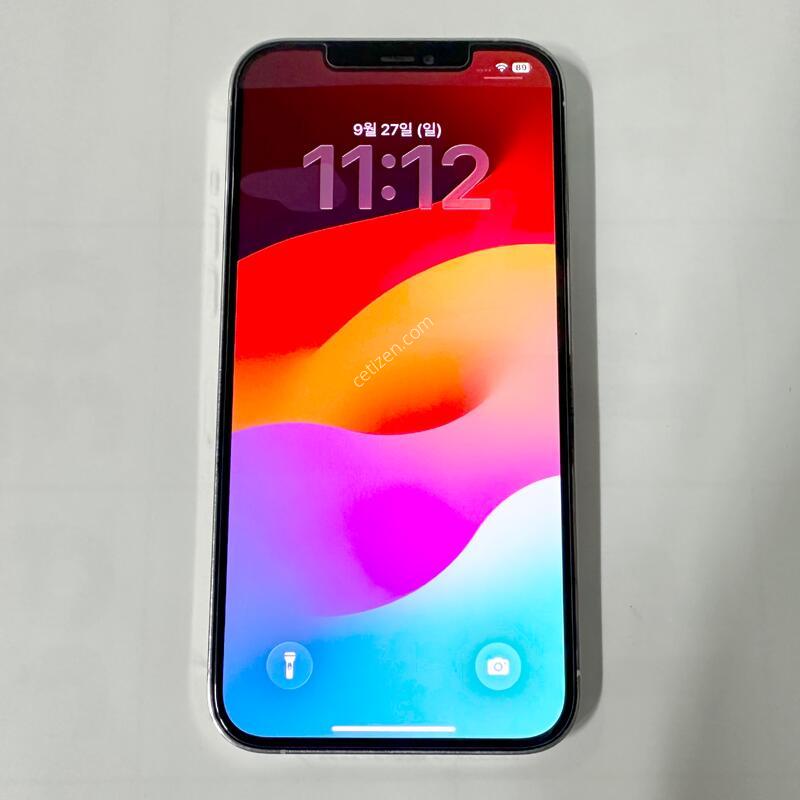 ������ 12 ���θƽ� �ǹ� 256GB[FaceID�ȵ�][�ܰ� ��][�ܻ����]