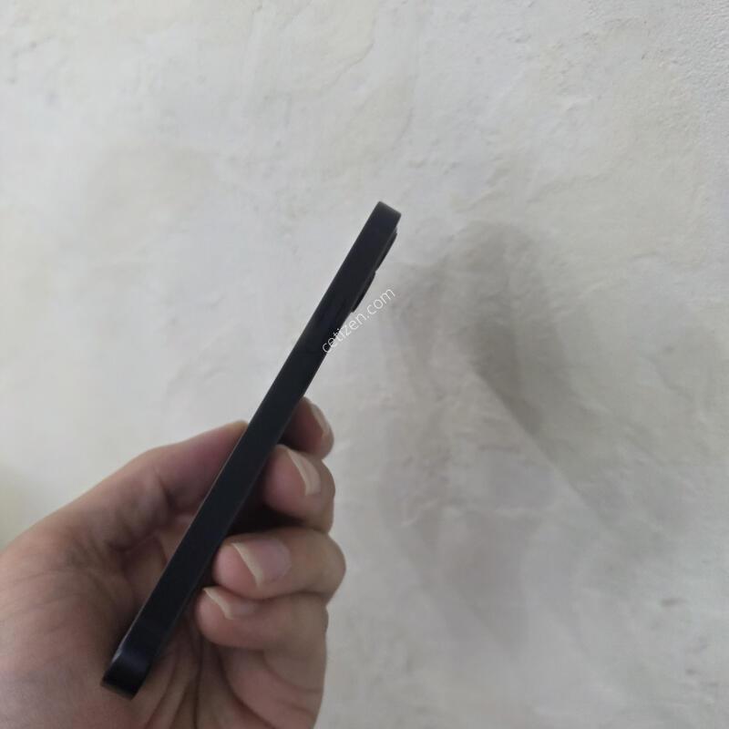 ������12�̴�