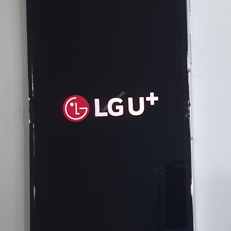 ������Z�ö�5��Ʈ(256G) A��