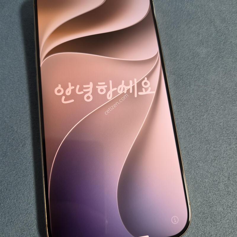 ������ 16 ���� 256
