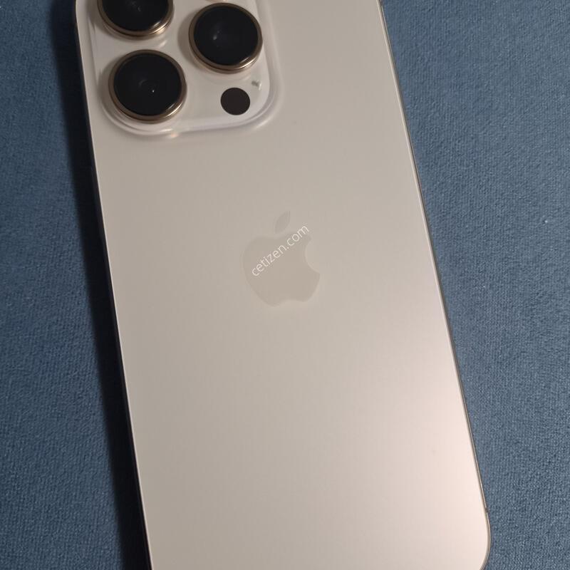 ������ 16 ���� 256