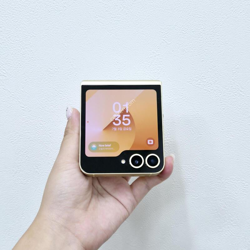 ������Z�ø�6 ���ο� 256GB