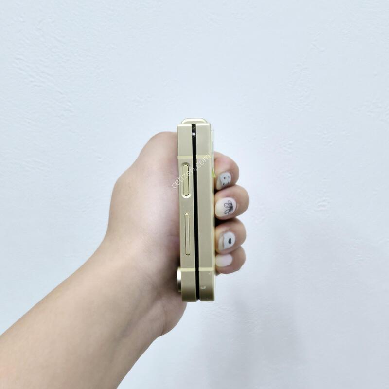 ������Z�ø�6 ���ο� 256GB