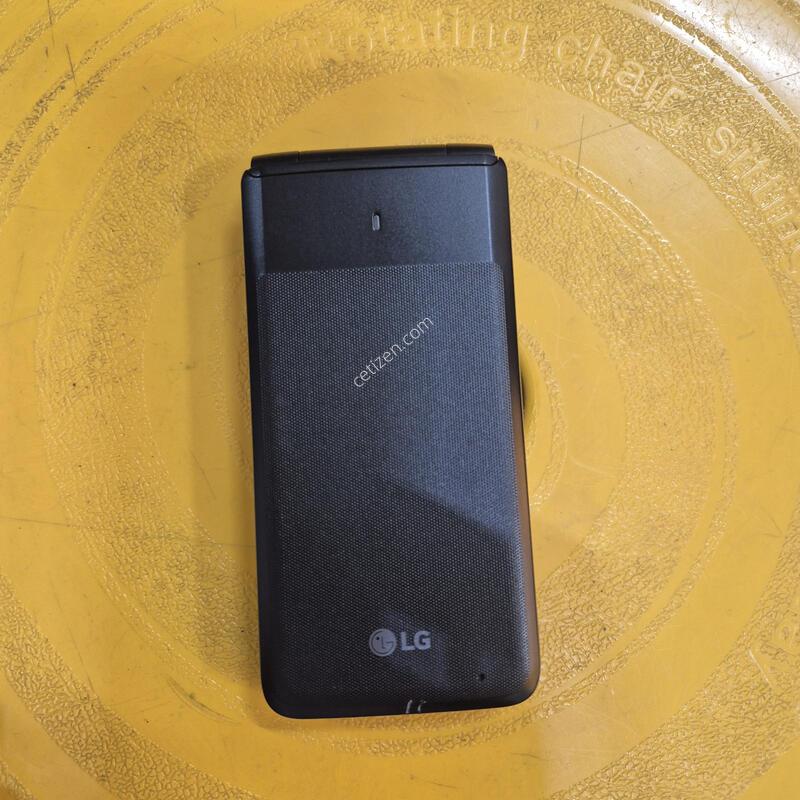 Y110L