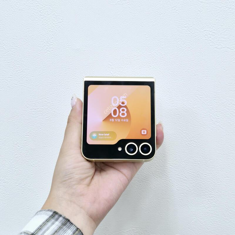 ������Z�ø�6 ���ο� 512GB