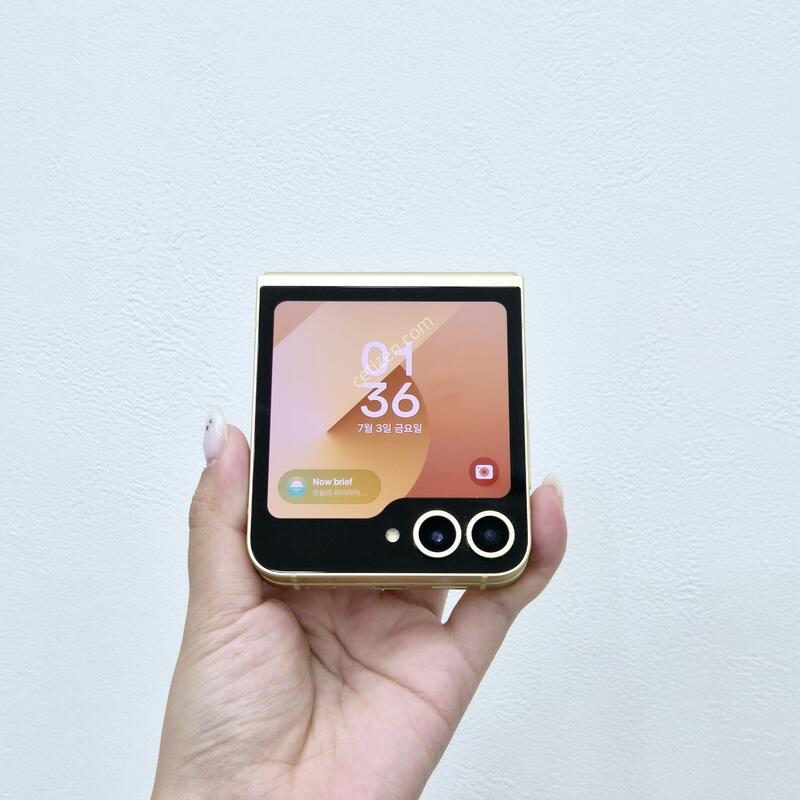 ������Z�ø�6 ���ο� 256GB