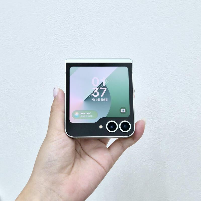 ������Z�ø�6 ��Ʈ 256GB