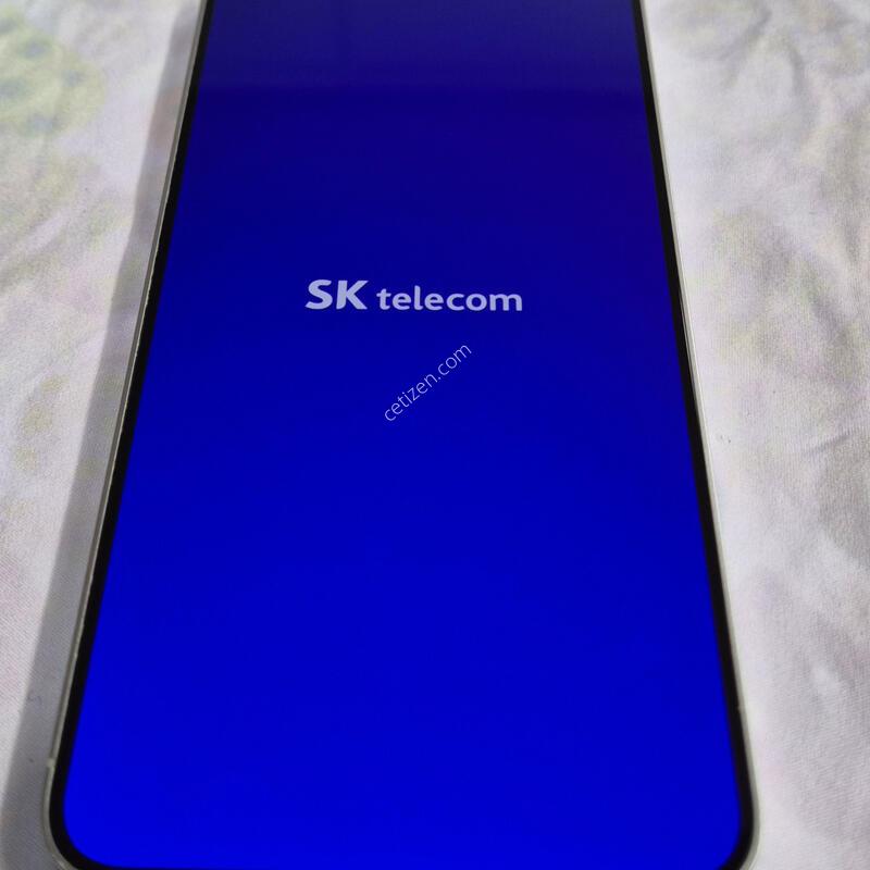 S24�÷��� �����׷��� 256GB
