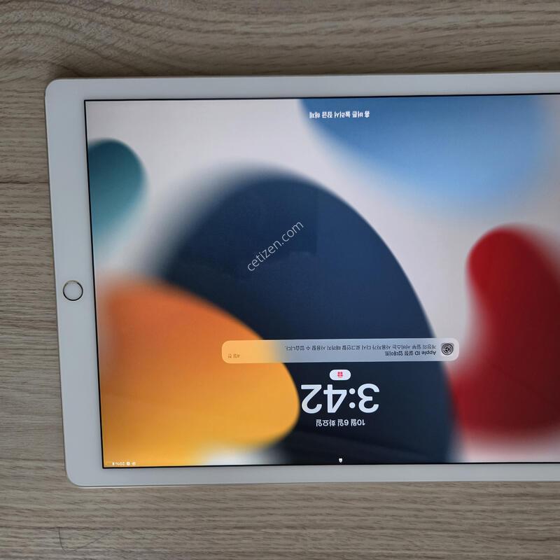 �����е� ���� 12.9 1���� 128GB ���귯 ���