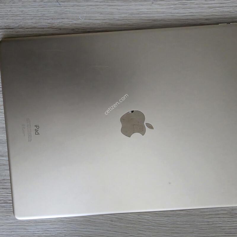 �����е� ���� 12.9 1���� 128GB ���귯 ���