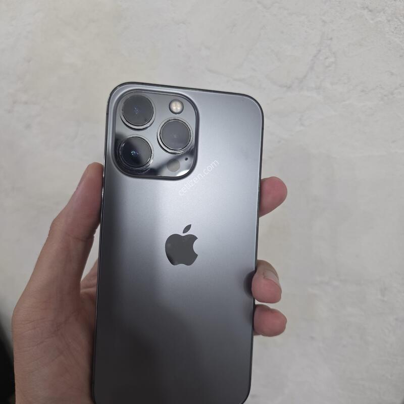������13���� ����