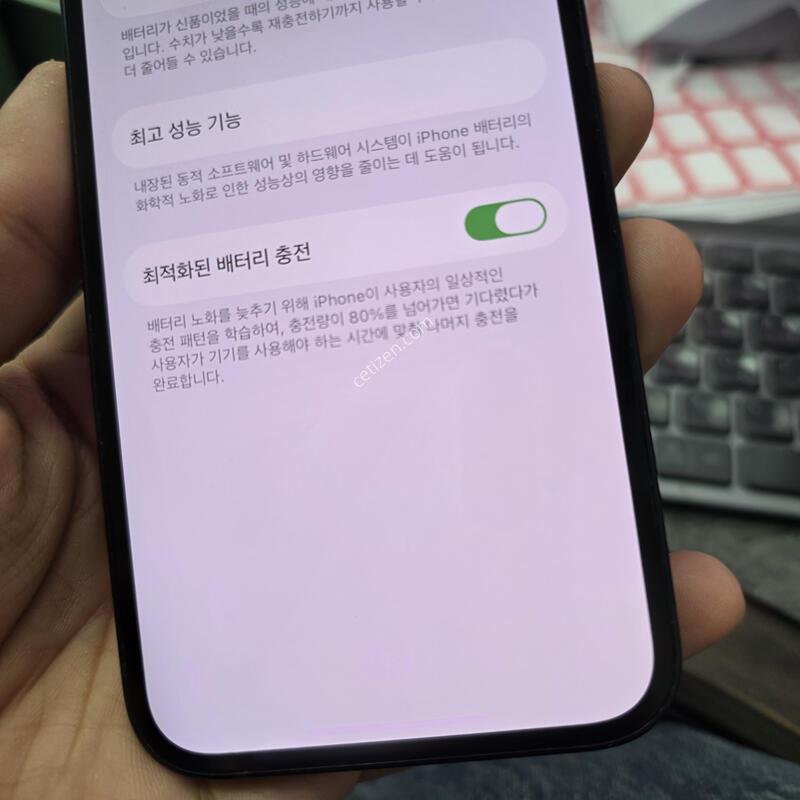 (2600)������13