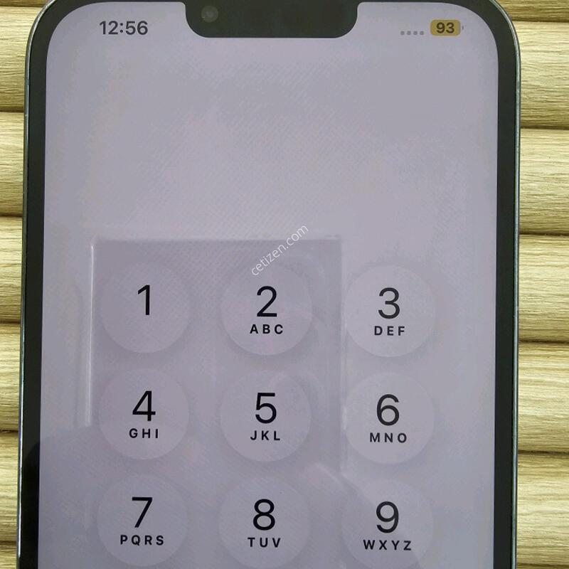 ������13���θƽ�  256G �Ǹ�