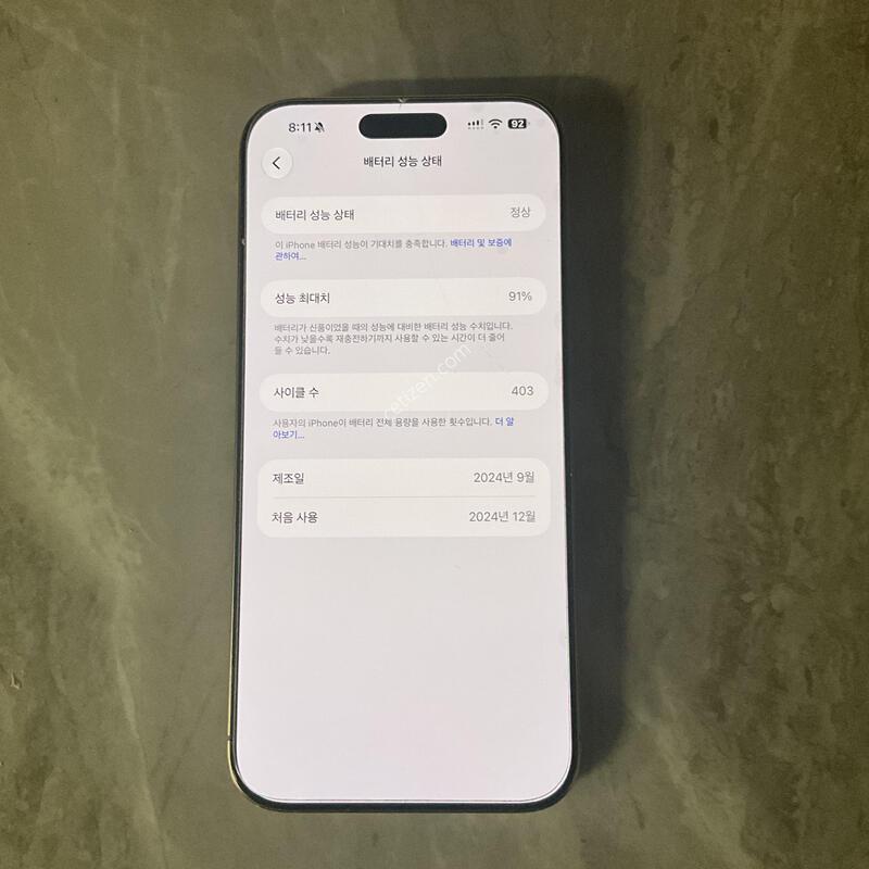 ������ 16 ���θƽ� 256GB �ڱ���