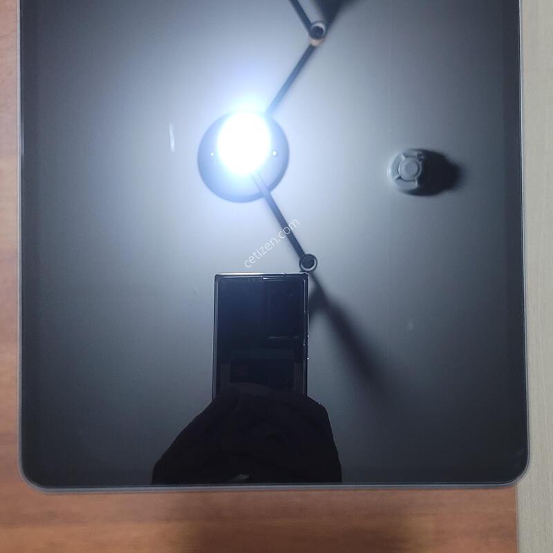 �����е� ���� 12.9��ġ 5����  128G