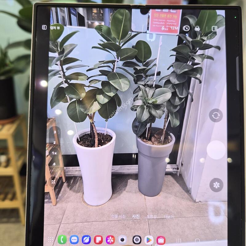 SK����������6 256�Ⱑ ��ũ