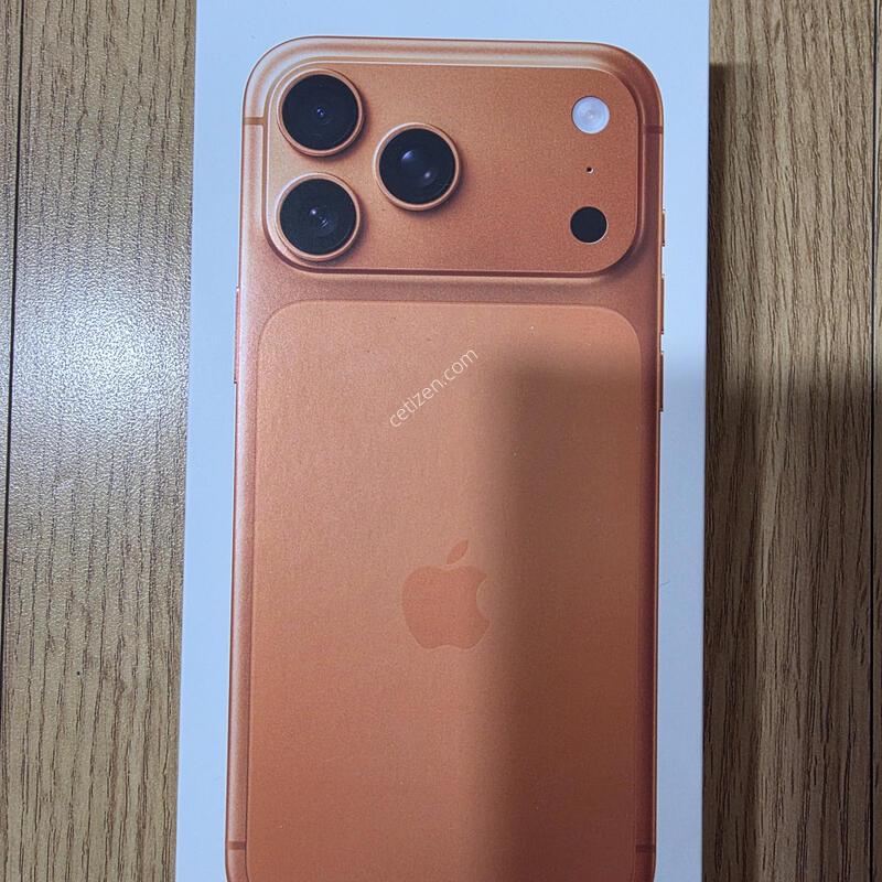 ������17���� �ƽ� 256GB �ڱ�����