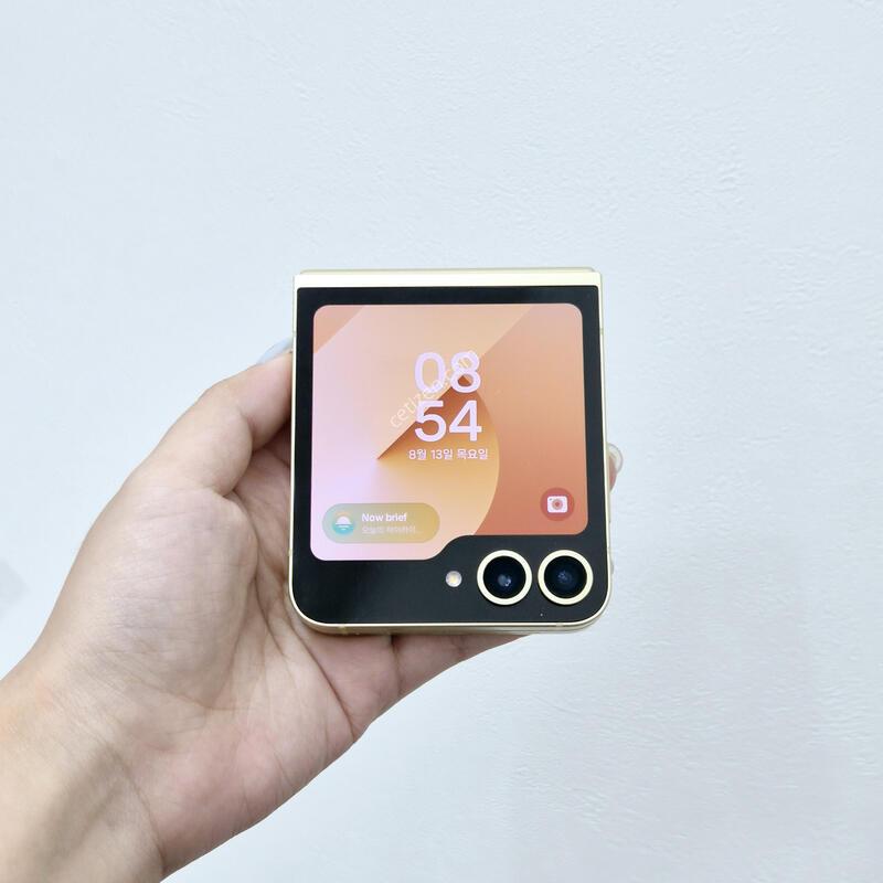 ������Z�ø�6 ���ο� 256GB