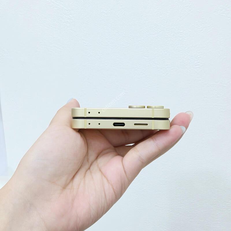 ������Z�ø�6 ���ο� 256GB