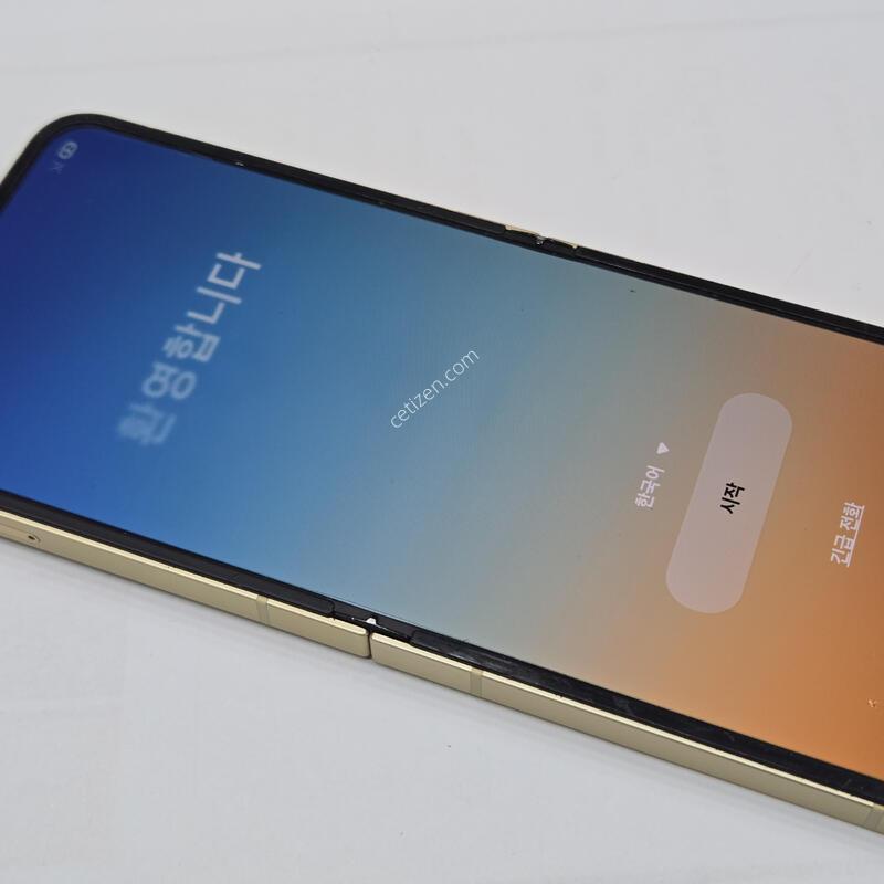 ������Z�ø�6 256GB ���ο�