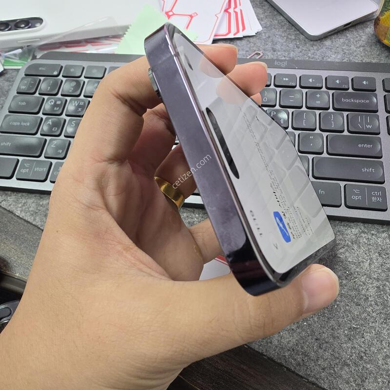 (5556)14���θƽ� 256