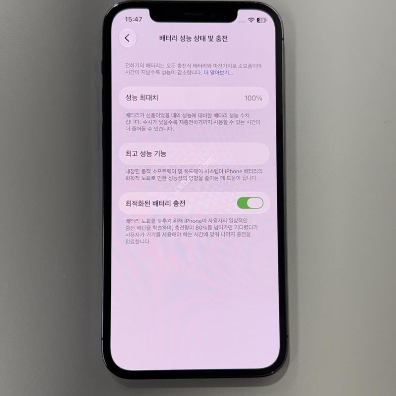 [���͸�100%/������]������12����/256/�׷�����Ʈ/86844