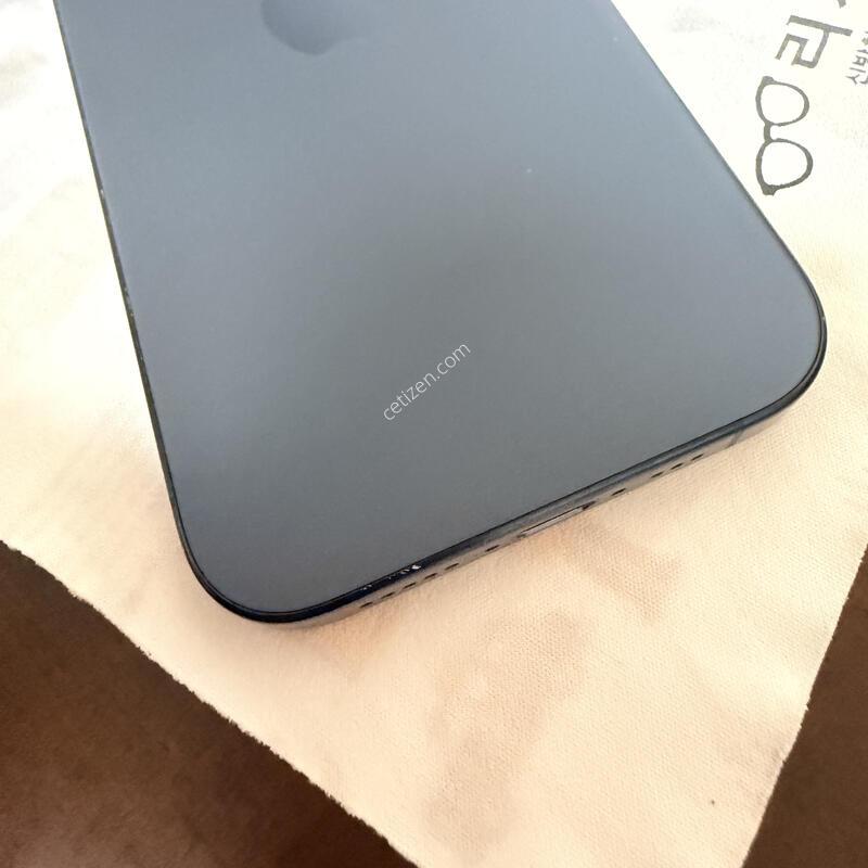 ������ 15���� ����