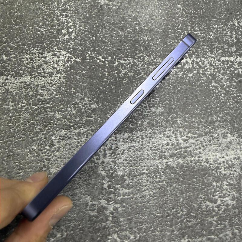 ������S24 ���̿÷� 256GB