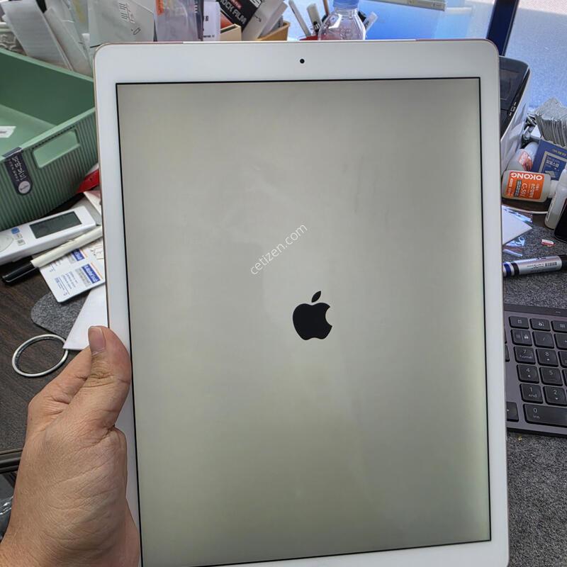 (1837)�����е�����12.9 1���� lte+�������� �Ǹ�