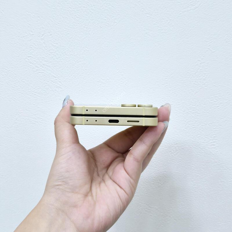 ������Z�ø�6 ���ο� 256GB