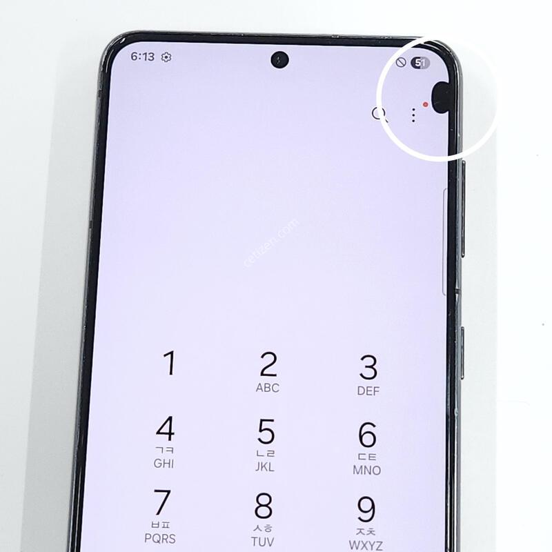 ������S21 256G ���ܻ� ���� 64187