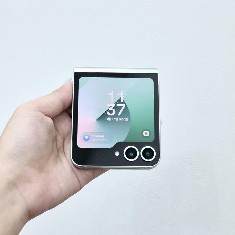 ������Z�ø�6 ��Ʈ 256GB