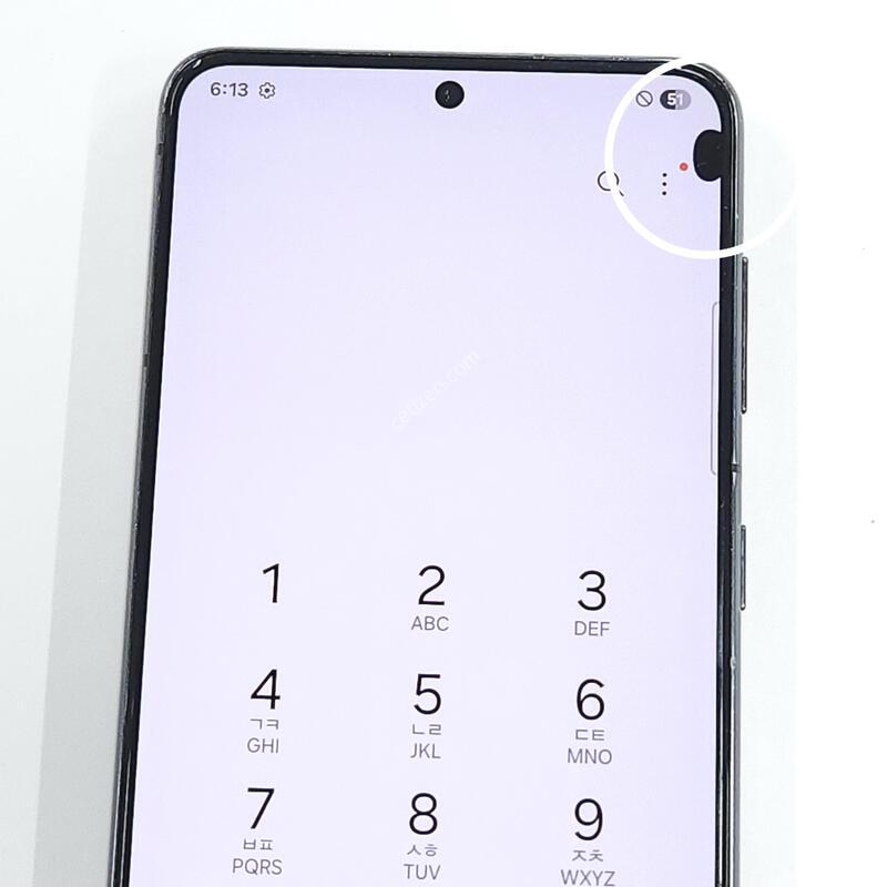 ������S21 256G ���ܻ� ���� 64187