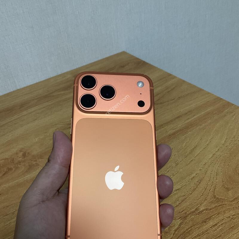 17���θƽ� ������ 256 �ڱ���