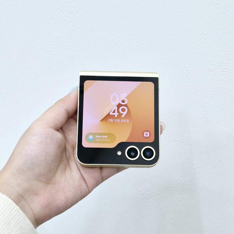 ������Z�ø�6 ���ο� 256GB