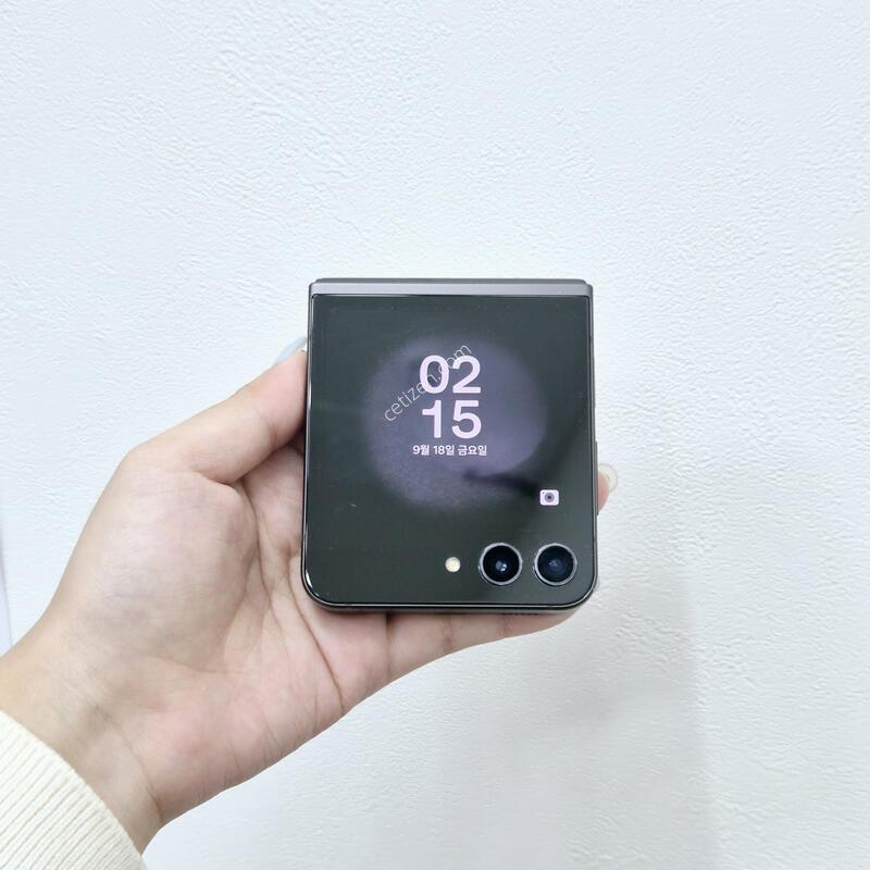 ������Z�ø�5 512GB �ڱ��� �׷���