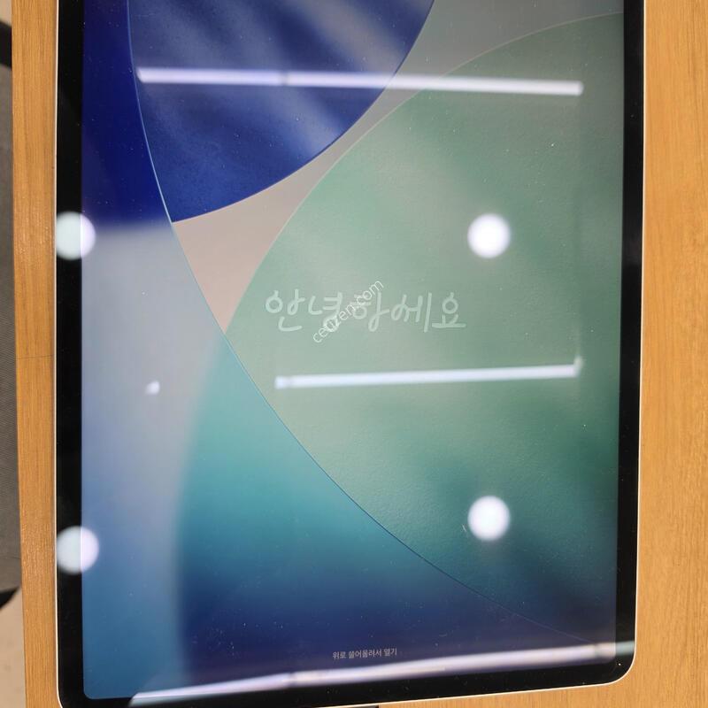 �����е����� 4���� 12.9 �ǹ� 128�Ⱑ  A�� (A2229)