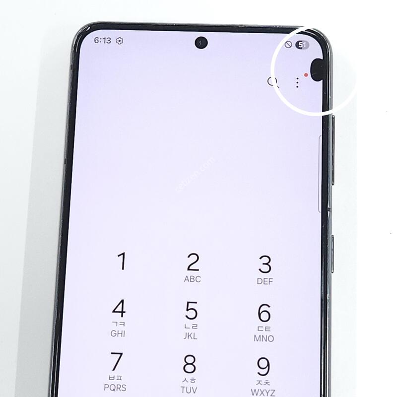 ������S21 256G ���ܻ� ���� 64187