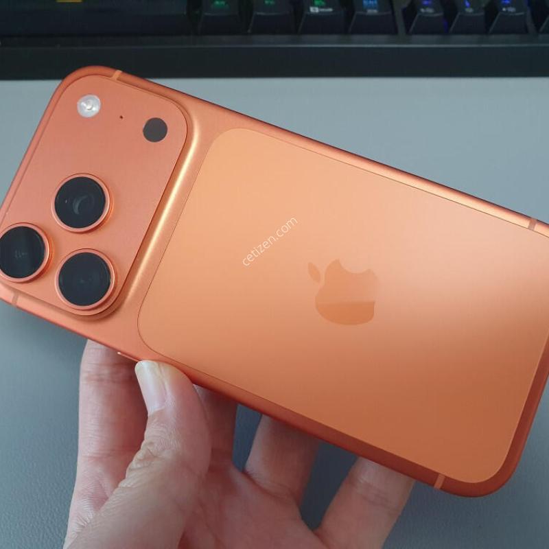 ������17 ���� / 256GB / ������ / ���͸����� 93%