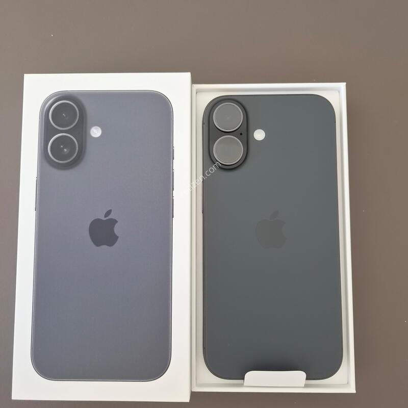 ������17 ���� 256�Ⱑ ����ǰ��