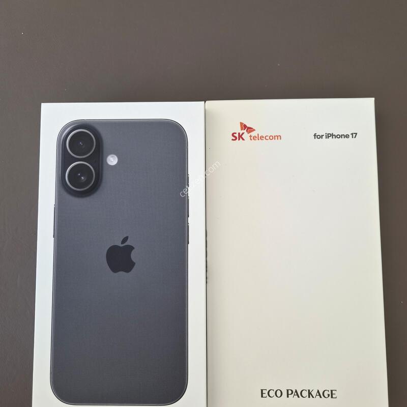 ������17 ���� 256�Ⱑ ����ǰ��