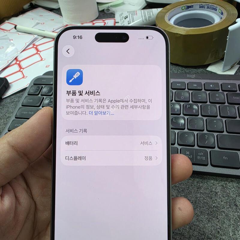 (5493)15���� 256