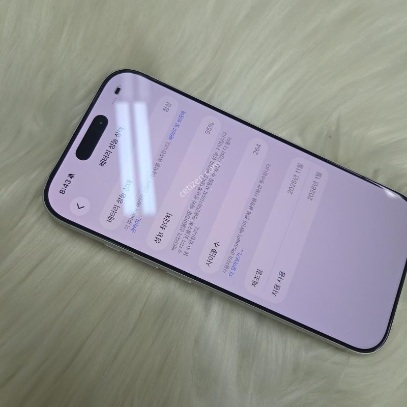 17프로 503