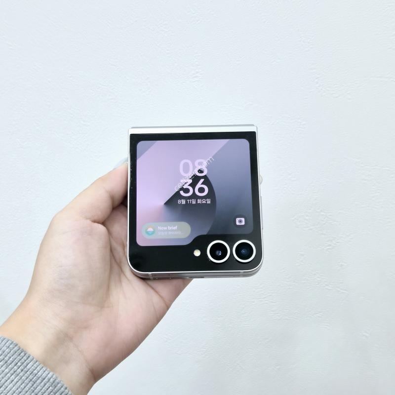갤럭시Z플립6 실버 256GB