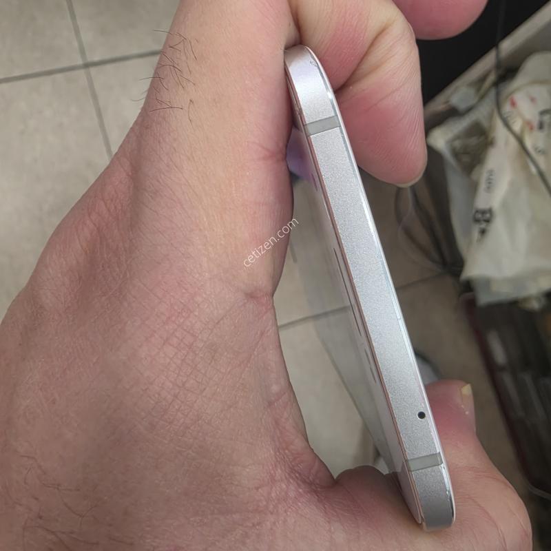 A800s 흰둥