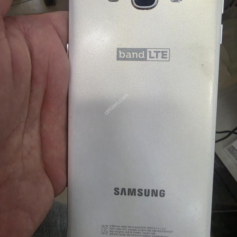A800s 흰둥